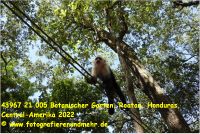 43967 21 005 Botanischer Garten, Roatan, Honduras, Central-Amerika 2022.JPG
